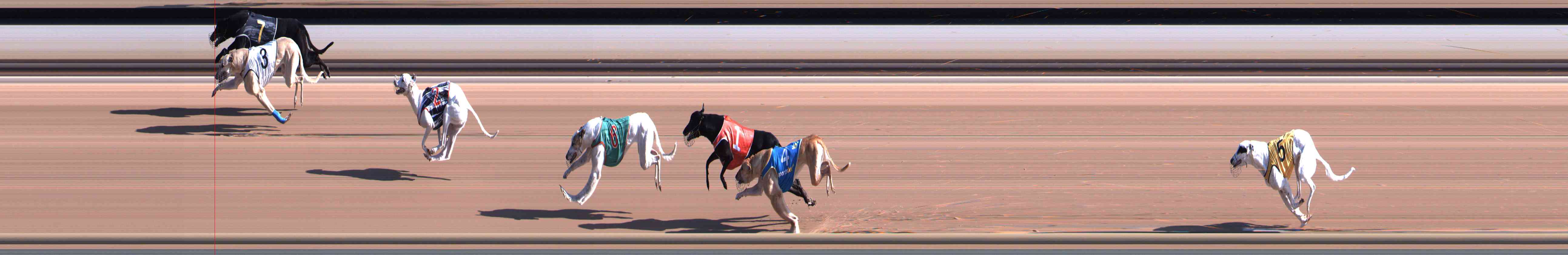 Race result finish photo